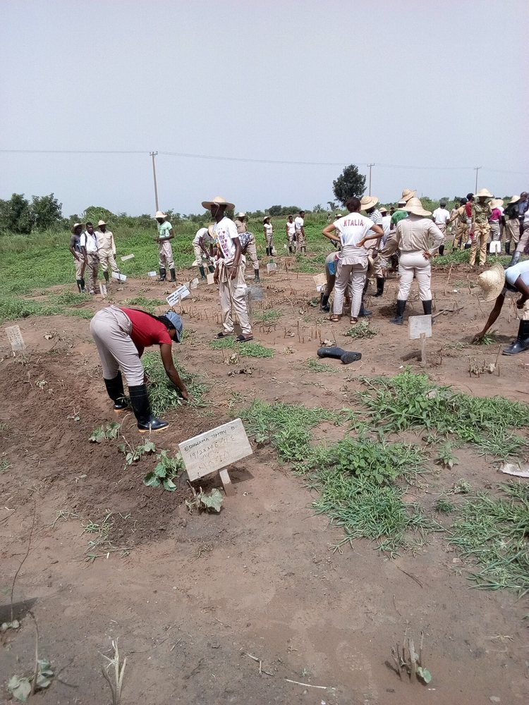 Students farming in Makurdi. Context photograph, not AgroPass participants.