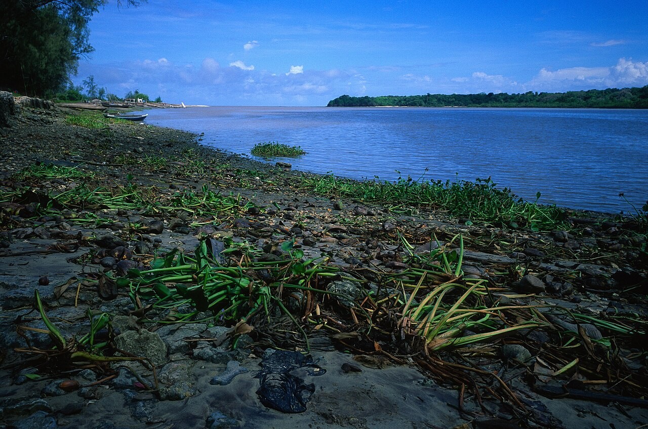 Pangani river area, Tanzania. File photograph providing geographic context; not a measurement of recent change.