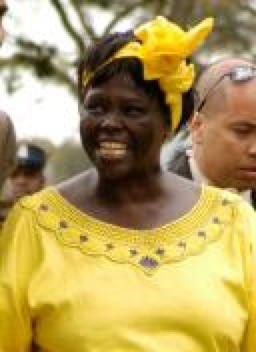 Wangari Maathai in Nairobi in a file photograph. The image is not presented as her Nobel ceremony.