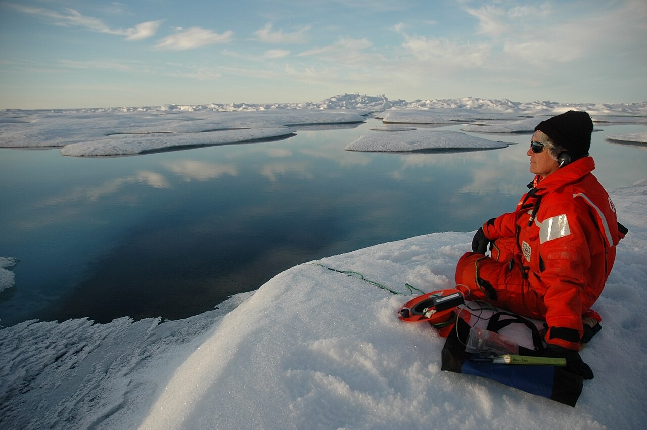 Ọkà NOAA Sue Moore na-ege hydrophone mmiri ntị n'ime foto Arctic ochie. Nke a abụghị ule MIT a na-akọwa ebe a.