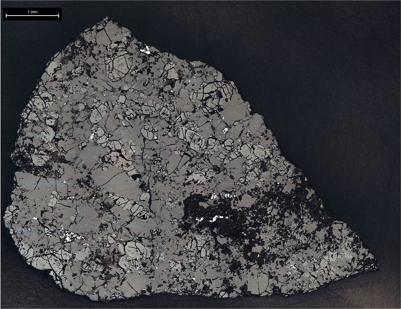 Reflected-light image of a Teghaza 001 meteorite slice used for laboratory analysis; NASA/JPL-Caltech.