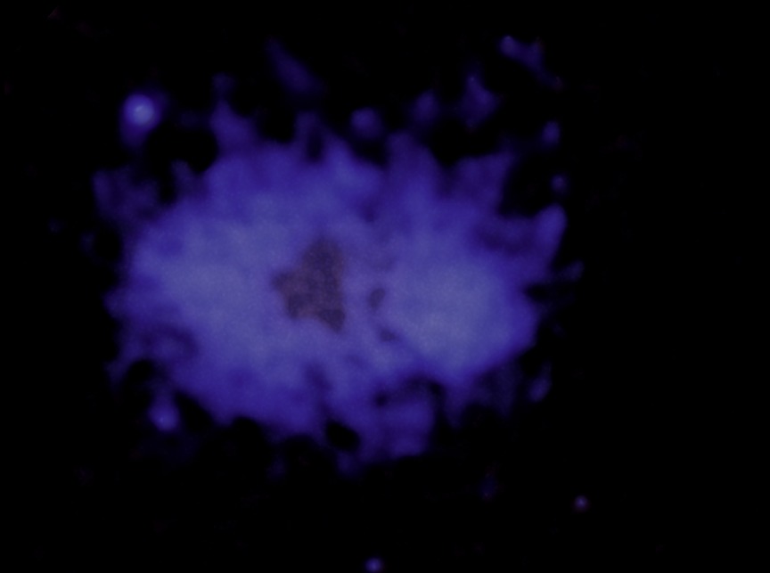 Chandra X-ray image of hot gas in the Treble Clef cluster. NASA/CXC/INAF-IRA/A. Botteon et al.; processing NASA/CXC/SAO/N. Wolk. False colour; the radio treble-clef shape is not shown.